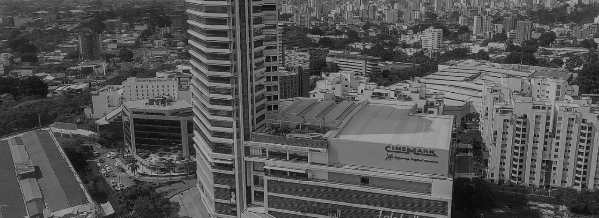 banner-dm2